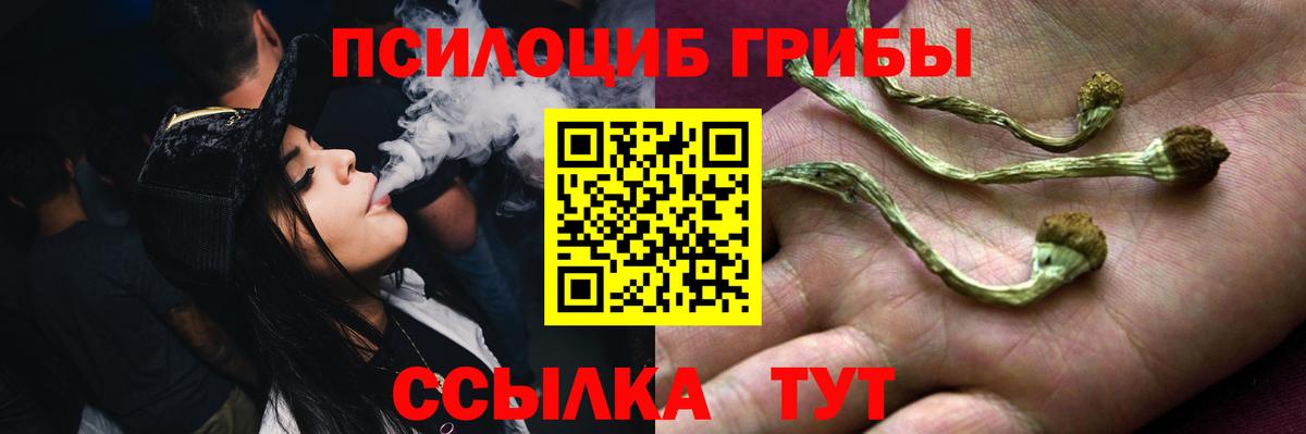 Псилоцибиновые грибы GOLDEN TEACHER Усть-Илимск